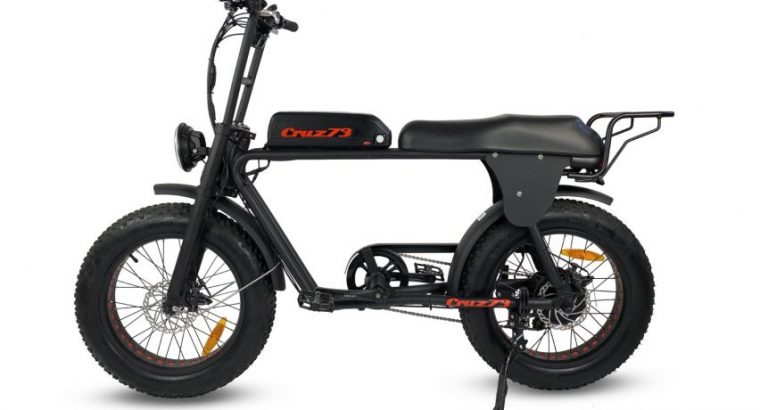 Cruz73 Retro Electric Bike